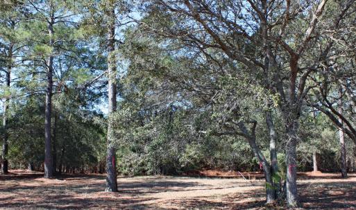 VI-2B-74 at Haddington Place