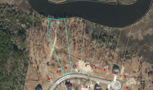 Screenshot 2026-02-19 120443