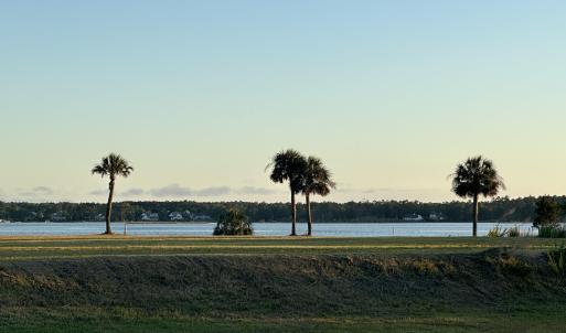 246 AMPHITHEATER DRIVE