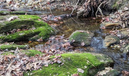 creek 1