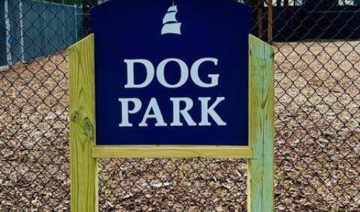 Dogpark1
