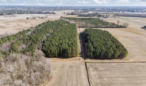 3-web-or-mls-DJI_20260121125507_0526_D