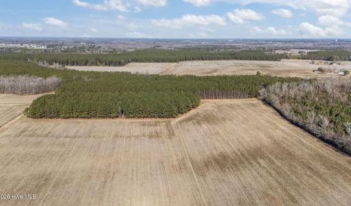 5-web-or-mls-DJI_20260121125648_0528_D