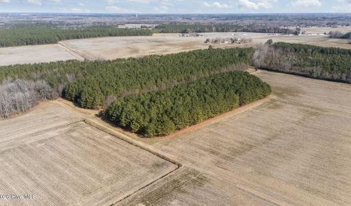 2-web-or-mls-DJI_20260121125428_0525_D