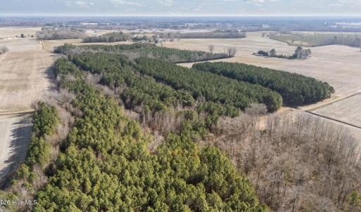 4-web-or-mls-DJI_20260121125534_0527_D