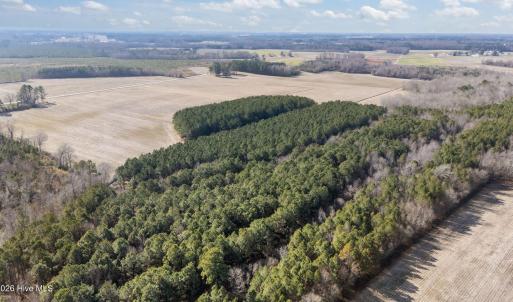 8-web-or-mls-DJI_20260121130502_0532_D