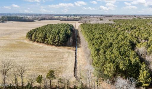 15-web-or-mls-DJI_20260121140616_0585_D