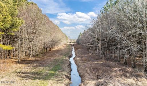 View of stream