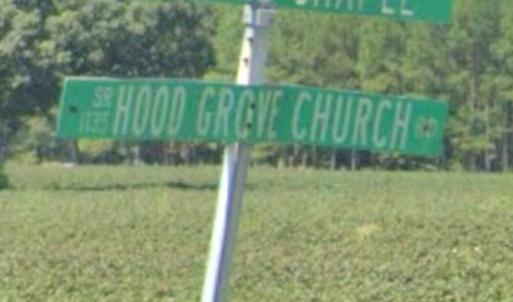 Screenshot_20260220_124147_Maps(1)