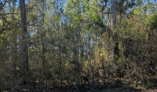 437 Colony Ln SE Leland