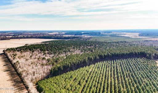 dji_20260104133619_0006_d