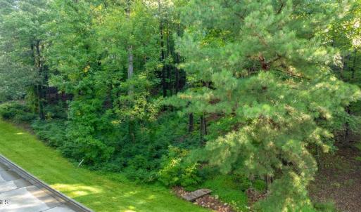 taralyn-11608-morehead-004