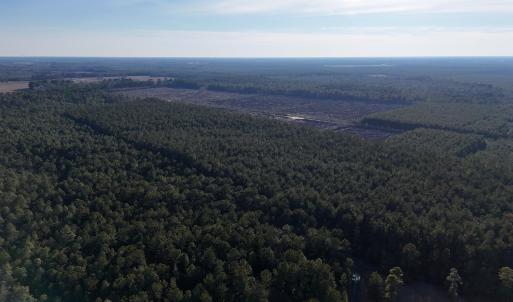 dji_fly_20260214_161258_0154_17711038414