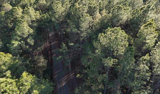 dji_fly_20260214_160622_0143_17711033955