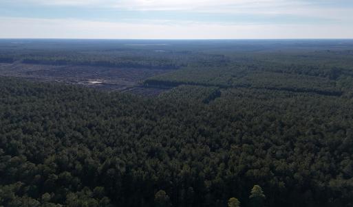 dji_fly_20260214_161236_0151_17711038540