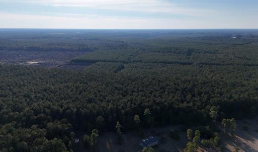 dji_fly_20260214_161254_0153_17711038456