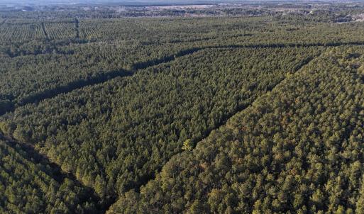 dji_fly_20260214_161534_0158_17711038260