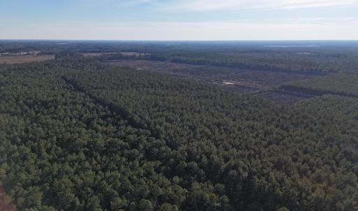 dji_fly_20260214_161242_0152_17711038512