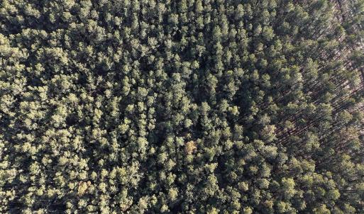 dji_fly_20260214_161520_0156_17711038347