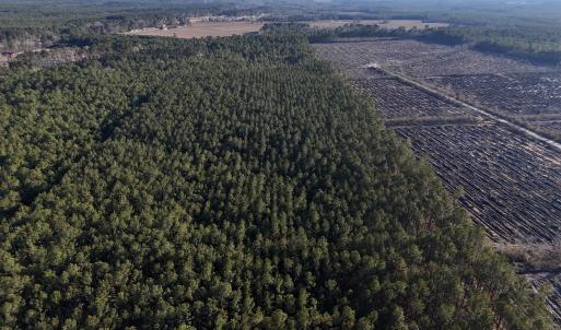 dji_fly_20260214_161526_0157_17711038303