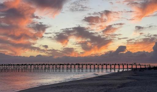 Oak Island 2025 (3)