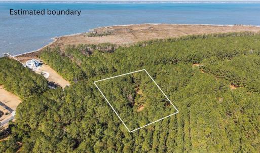 Estimated boundary