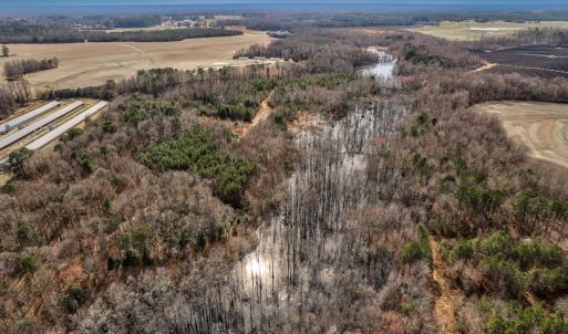 061-13064EthridgeRoad-Whitakers-NC-27891