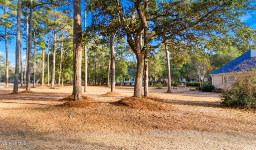 shniderproductions.com-13