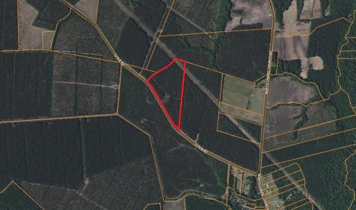 Screenshot 2026-02-26 at 1.09.21PM