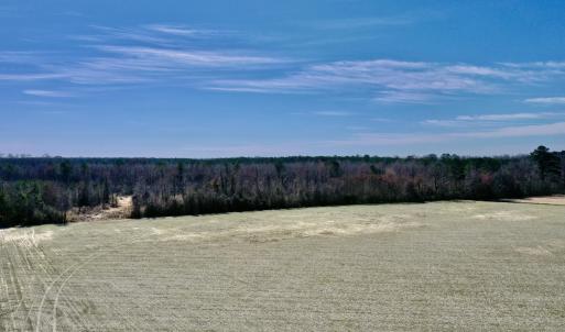 Dudney 3