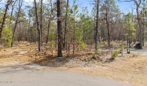 1-web-or-mls-DJI_20260225125202_0873_D -