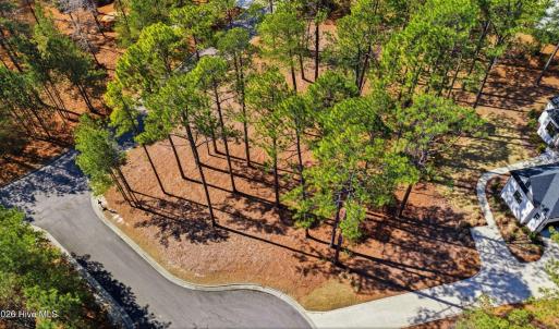 DJI_20260224122048_0026_D