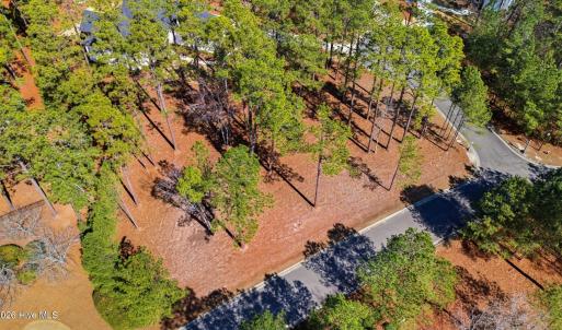 DJI_20260224122213_0041_D