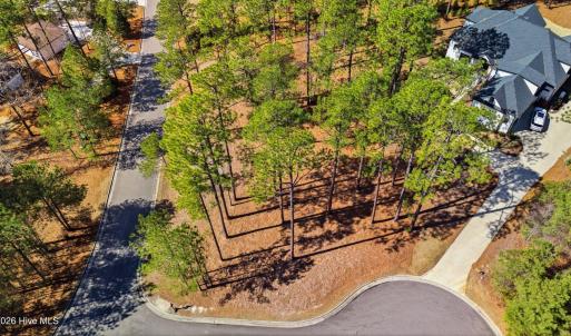 DJI_20260224122115_0029_D