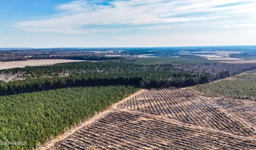 dji_20260104133805_0009_d