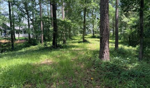Lot 507