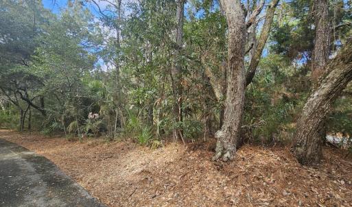 Resized_20240307_142958_1709839956581