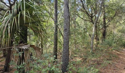 Resized_20240307_143121_1709839957244