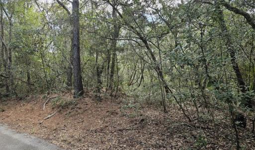 Resized_20240307_143156_1709839935935