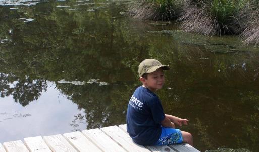 Creek Time2