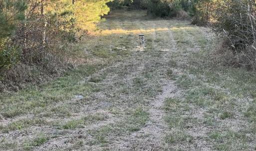 View #2 from blindHEIC