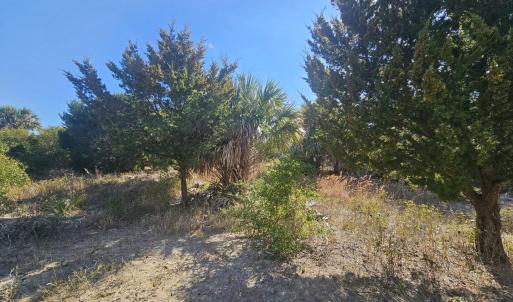 20240307234715750968000000-o