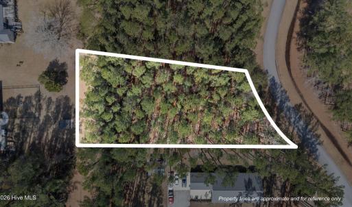 5-web-or-mls-DJI_20260303115605_0016_D_1