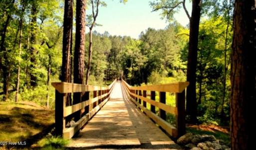 10 Neighborhood boardwalk