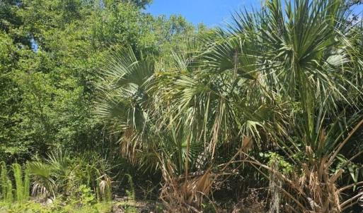 20240621002209917880000000-o