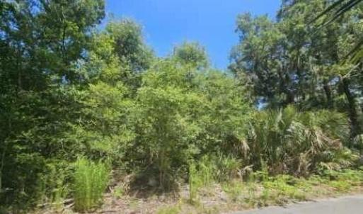 20240621002208951040000000-o