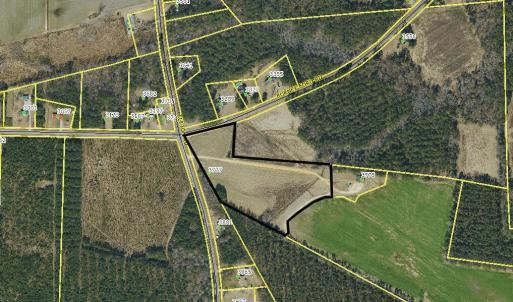 Screenshot 2026-02-16 173908