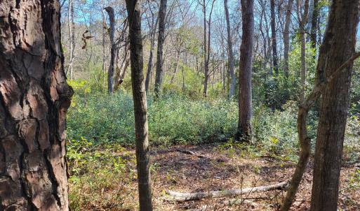 Shell Landing 3.9 Acre
