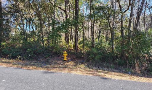 Shell Landing 3.9 Acre road frontage wit