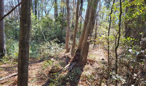 Interior of Property